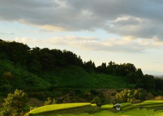 粉象生活上市了吗