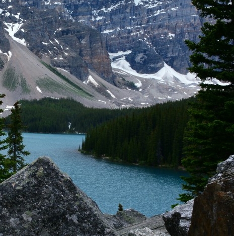 粉象生活看视频任务图片
