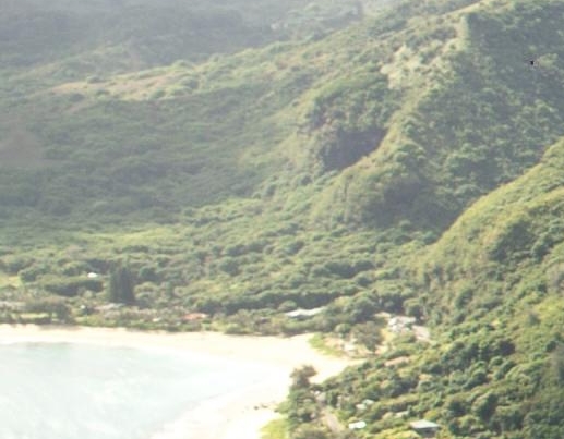 粉象生活app最新版