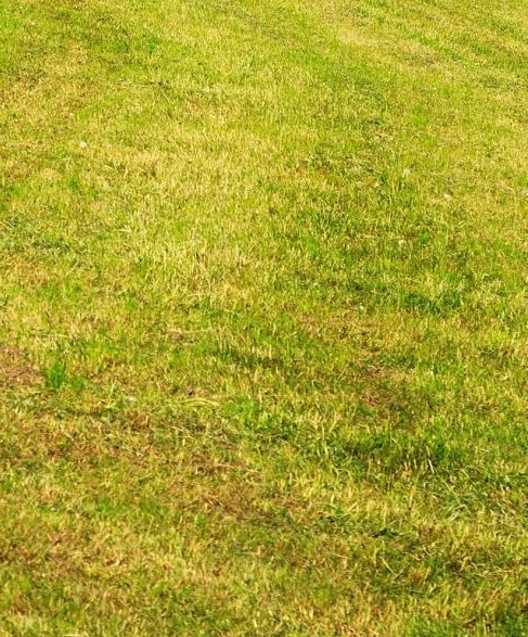 粉象生活怎么赚钱的