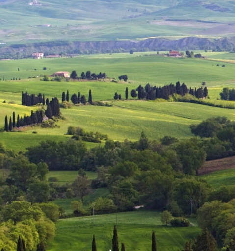 粉象生活推广规则
