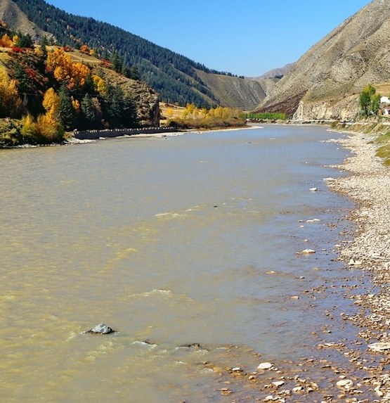 粉象生活下载app