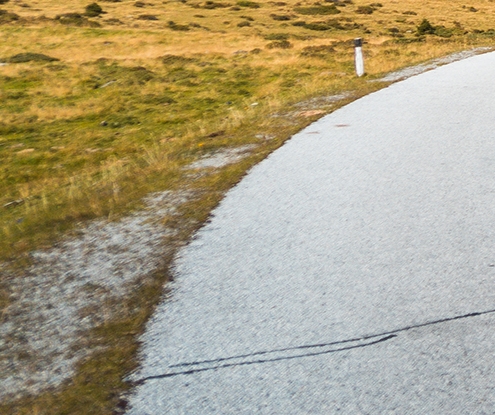 粉象生活推广策划