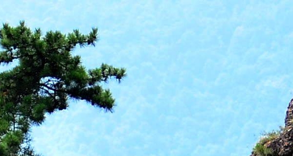 粉象生活金额图片