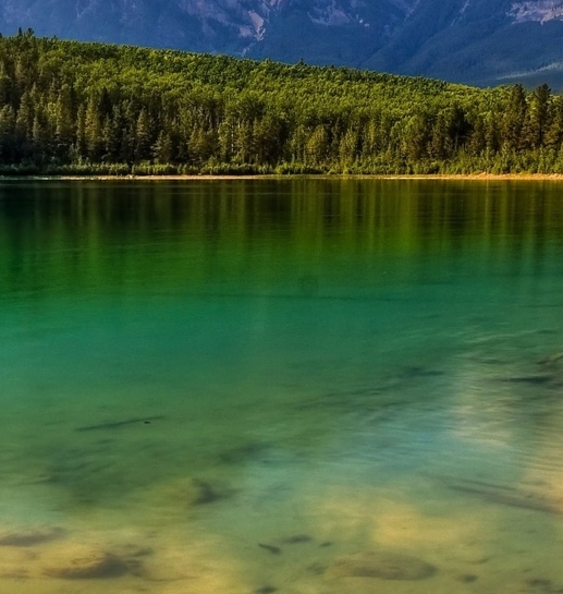 粉象生活官网app下载