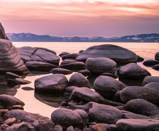 了解粉象生活app