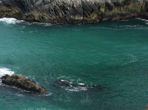 粉象生活是什么东西,真的靠谱吗