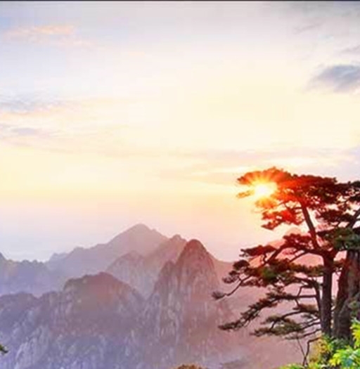 宜昌粉象生活加盟