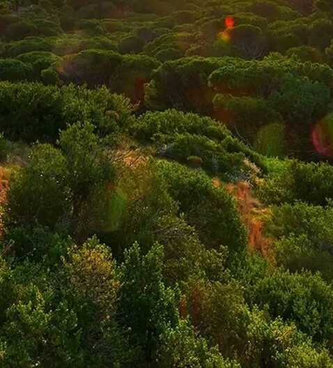 粉象生活是干什么的能赚钱吗
