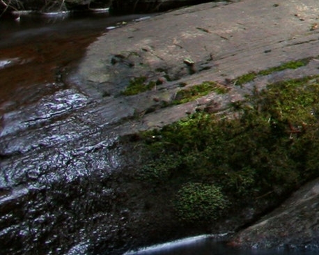 粉象生活真的能赚那么多钱吗