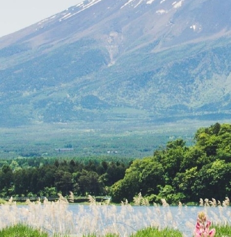 粉象生活表情文字