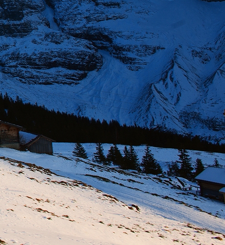 粉象生活日收益