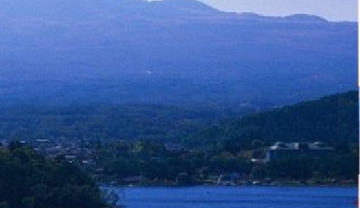 粉象生活可以赚钱吗