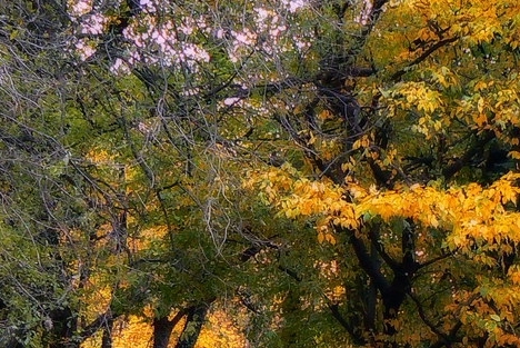 粉象生活可以赚钱吗