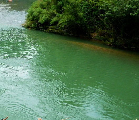 粉象生活政策扶持