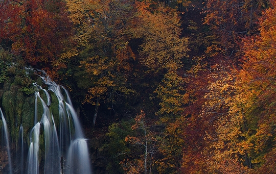 粉象生活涨粉技巧