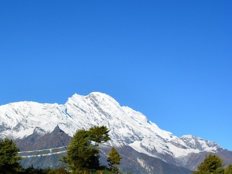 粉象生活能更改邀请人吗