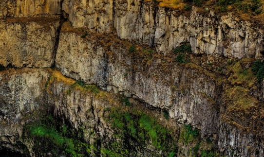 社交粉象生活融资