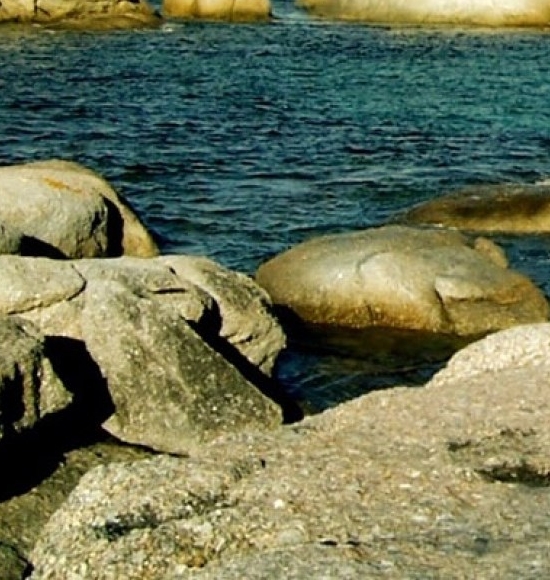 粉象生活怎么使用花呗