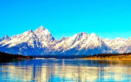 吉林加盟粉象生活是什么