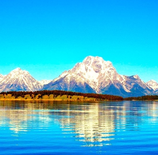 日照粉象生活收费