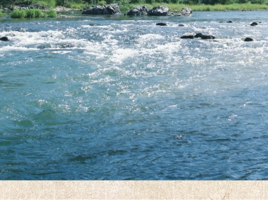 粉象生活是什么样的平台