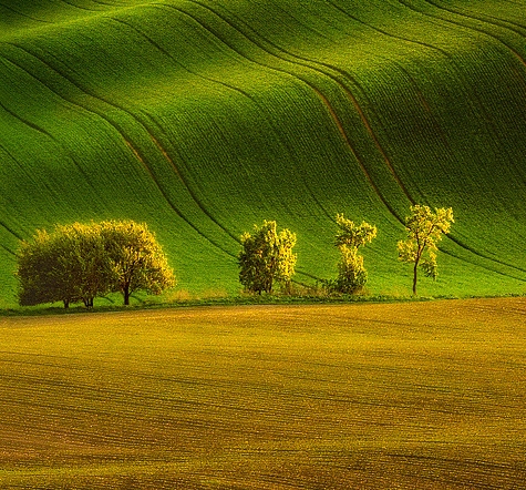 粉象生活不能注册