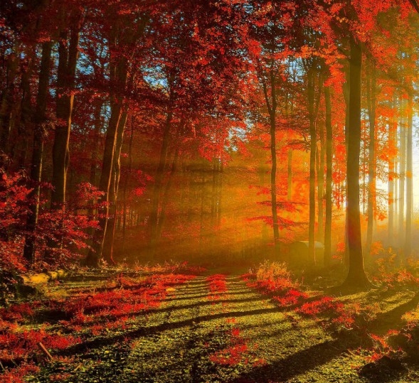 粉象生活订单延迟