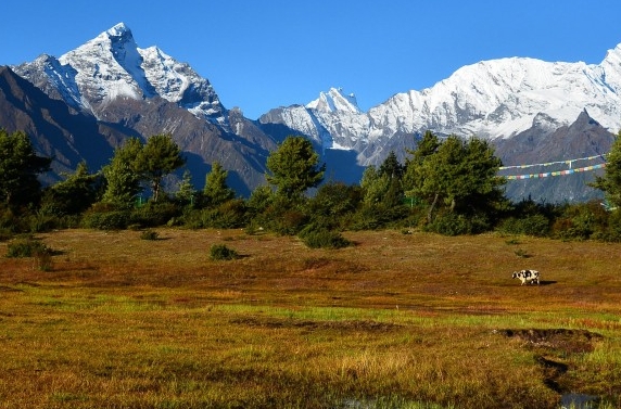 济南粉象生活线下