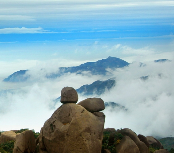 怎样申请粉象生活邀请码