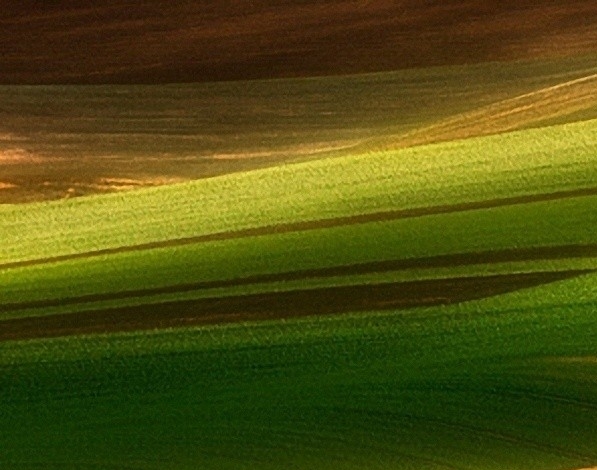 福袋生活怎么赚钱