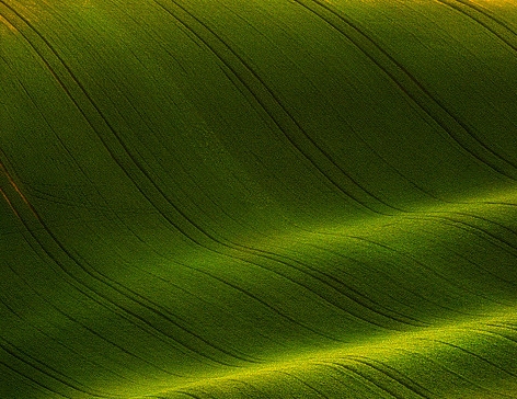 福建粉象生活真省钱