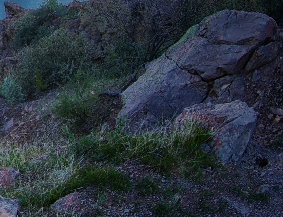 粉象生活退货地址