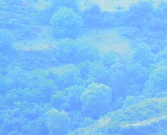 德阳最低生活标准是多少