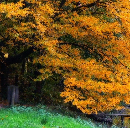 利用粉象生活赚取佣金合法吗?