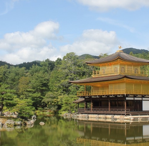 浙江固象段启全