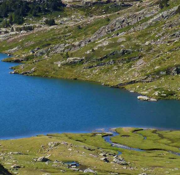 宜昌创业加盟好项目