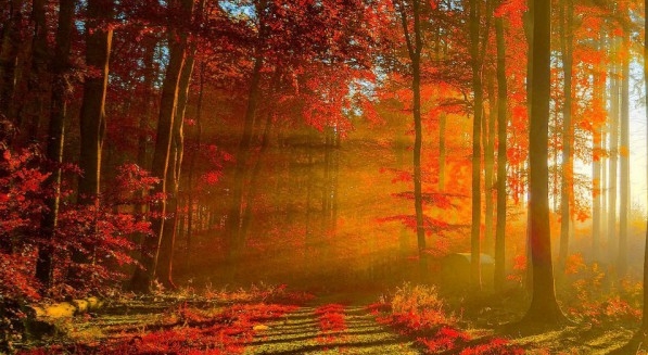 粉象生活总部要求码是什么