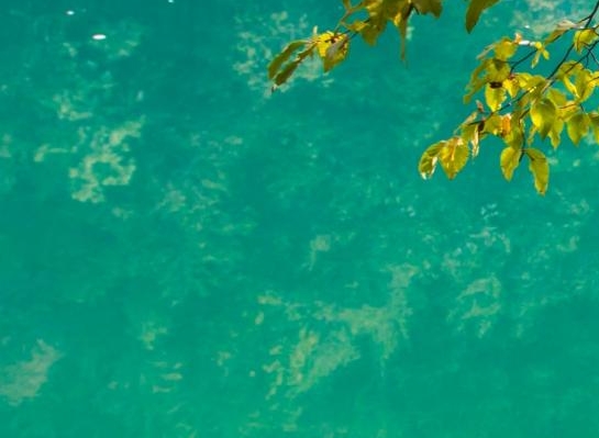 宁波粉象生活加盟