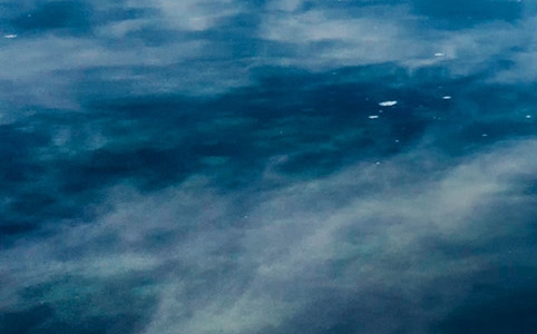 粉象生活下载app