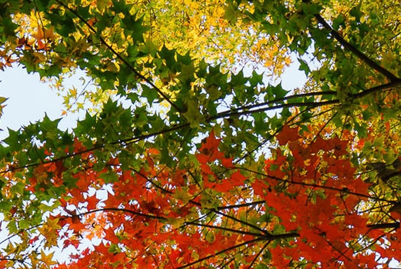 粉象生活如何赚佣金