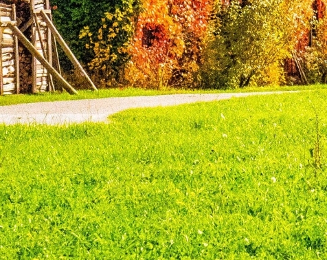 粉象生活公益文案