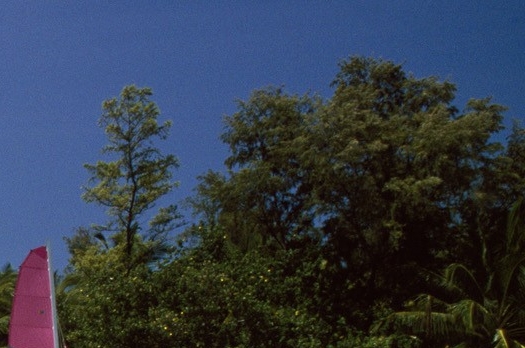 粉象生活邀请码