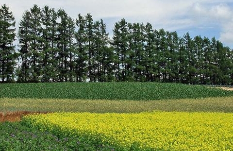 丽江粉象生活加盟