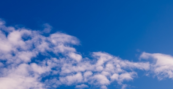 做粉象生活每年都要交费吗