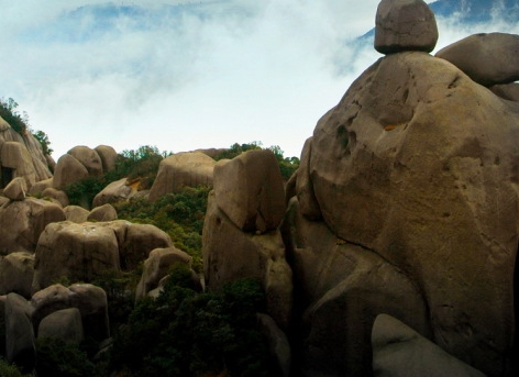 南阳粉象生活vip