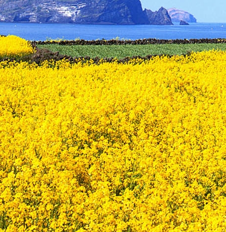 江苏创新粉象生活app