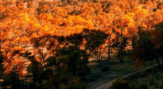 潮州粉象生活赚钱