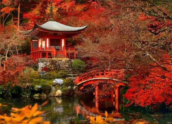 阳江粉象生活赚钱