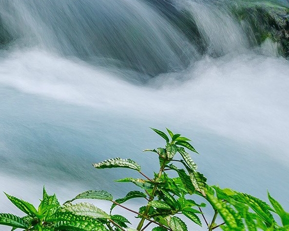 粉象生活推广引流教程